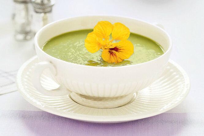 10 рецептов с мятой: супы, салаты, закуска, каре ягненка и другие