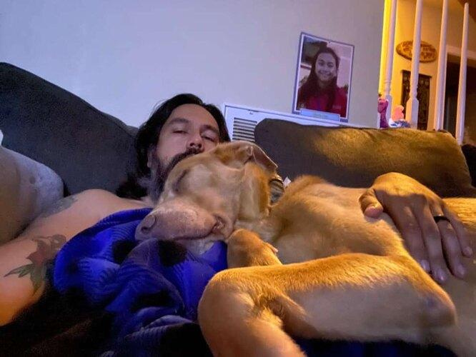 Не прекращал искать: хозяин воссоединился со своим псом после 5 лет разлуки