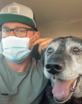 «Он уже сдался»: новая семья вернула любовь к жизни пожилому псу с онкологией