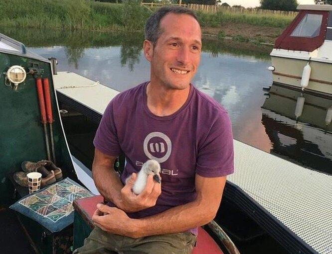 «Самые невезучие родители»: мужчина помог лебедям завести детей после 10 лет