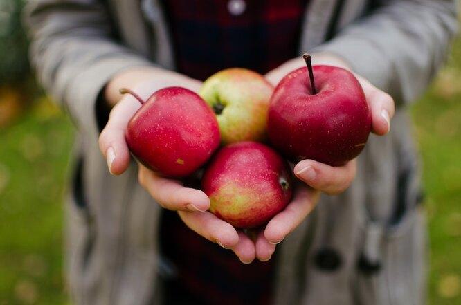 5 причин съедать минимум одно яблоко в день