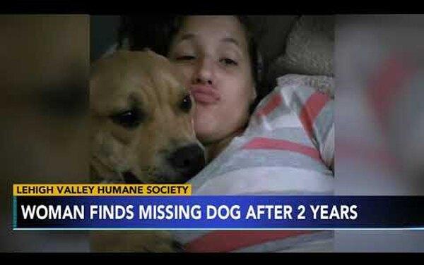 Девушка искала в приюте замену пропавшей собаке, а нашла невероятный сюрприз