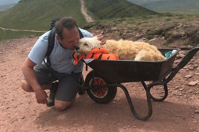 «Он уходил счастливым»: британец поднял пса с лейкемией на вершину горы