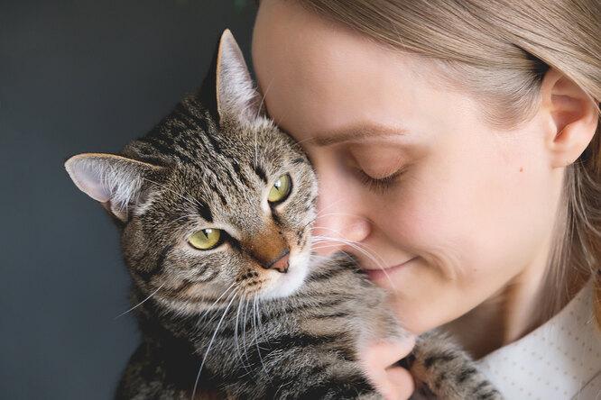 Женщина спасла кошку, прожившую всю жизнь в клетке. Вот как она ее благодарит