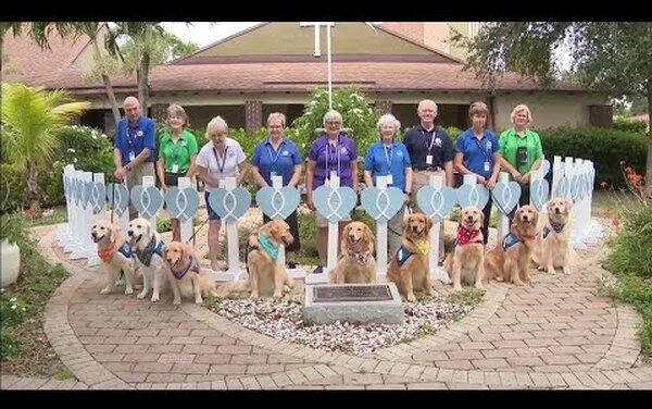 Жителям обрушившегося в Майами дома помогают собаки-терапевты