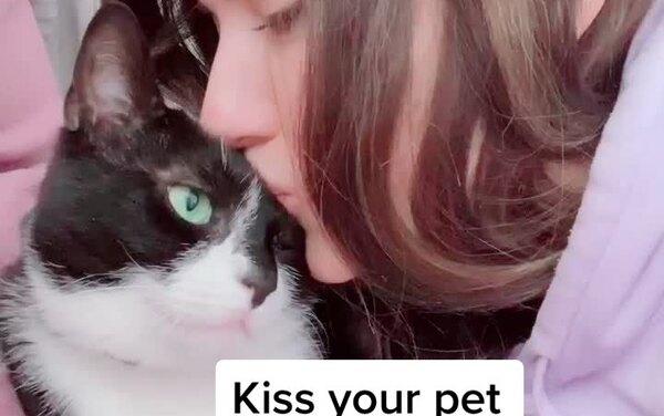 Хозяева целуют кошек и собак ради флешмоба. Реакция кошек смешит до слез