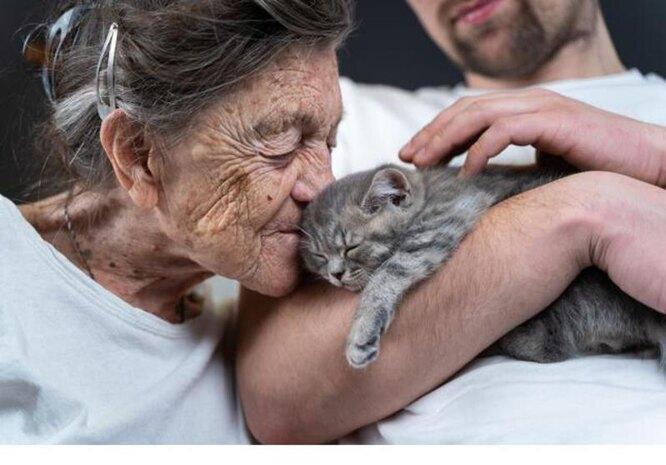 Люди собрали полмиллиона рублей, чтобы в доме престарелых появился котенок