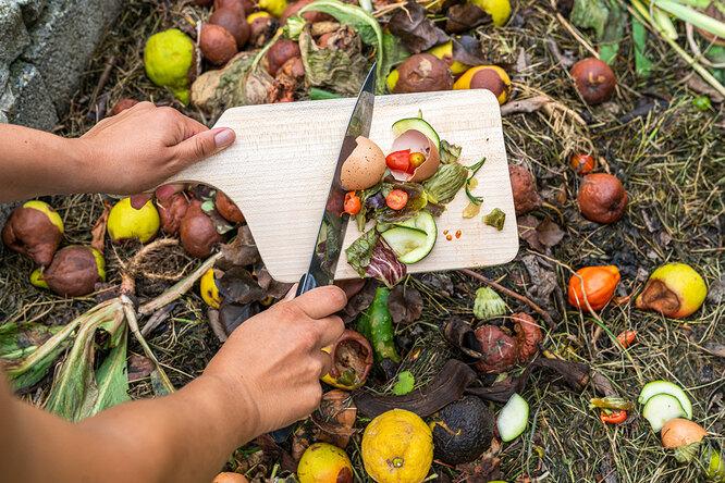 Не только скорлупа: 7 отходов с кухни, которыми можно подкармливать растения