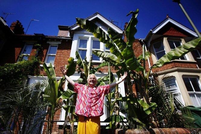 Утёр нос соседям: мужчина вырастил тропический сад в обычном дворе