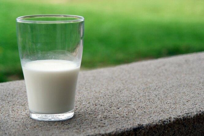 Все о полезных свойствах козьего молока