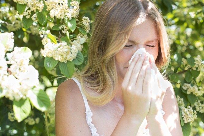 8 домашних растений, вызывающих аллергию — даже если у вас её никогда не было