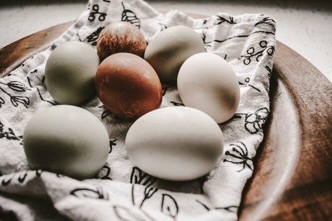 Шесть видов яиц, которые могут нас убить