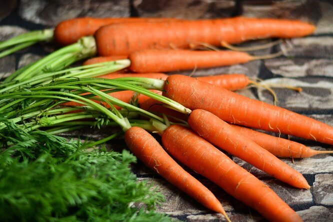 11 ошибок, которые нельзя допускать при выращивании моркови