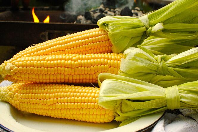 17 лучших сортов сахарной кукурузы для выращивания на даче: царица полей у вас в огороде