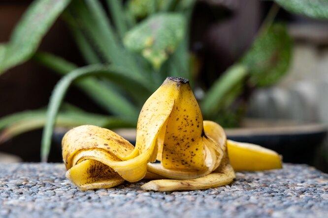 Банановая кожура для комнатных и садовых растений: секреты подкормки
