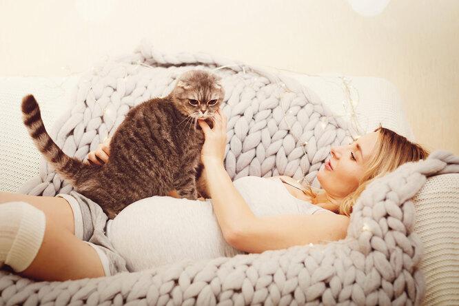 Чувствуют ли кошки беременность хозяйки? Вот что говорят учёные