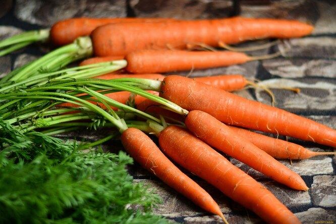 Способы хранения моркови на балконе в городской квартире: урожай пролежит свежим до весны