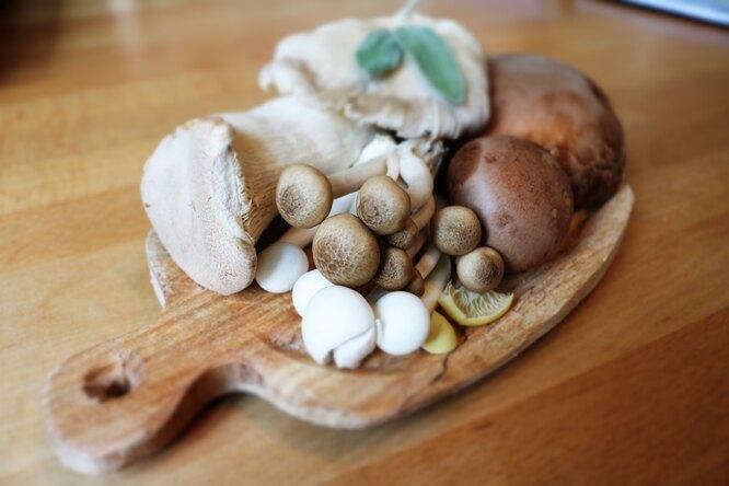 9 интересных свойств грибов: укрепление иммунитета, антистресс и контроль веса