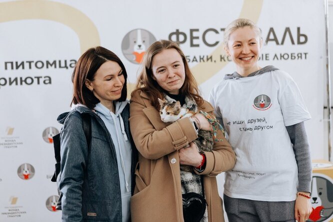 Благотворительный фестиваль «Собаки, которые любят» пройдёт в Москве 13 ноября
