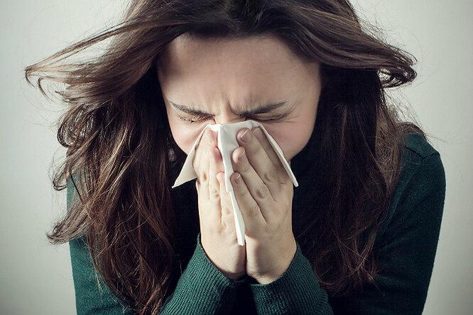 11 причин вашего чихания, живущих в вашем собственном доме