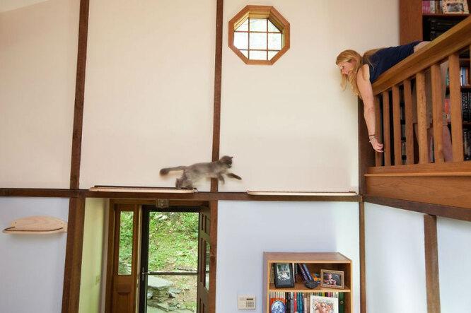 Кошачий рай. Как дизайнерка сделала дом удобным для кошек