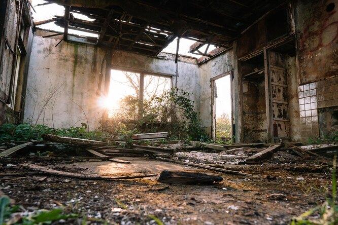 Ночной тыгыдык с пользой: кошки спасли хозяевам жизнь