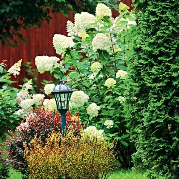 Цветочная клумба: оформляем сад