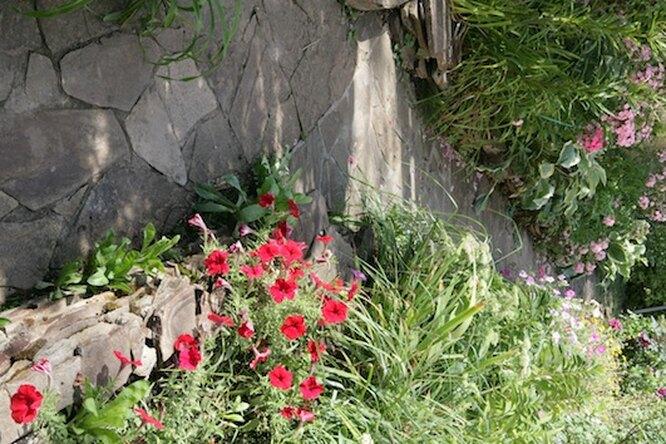 Клумбы на даче своими руками: с многолетними и однолетними растениями