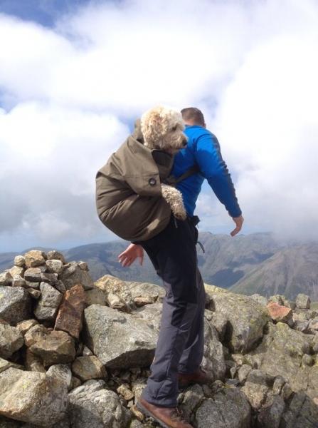 «Он уходил счастливым»: британец поднял пса с лейкемией на вершину горы