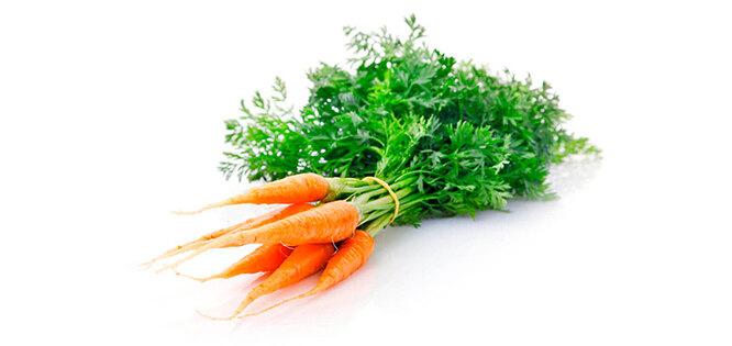 Морковь, имбирь и ещё пять продуктов, которые можно вырастить из обрезков