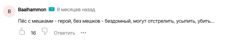 Помогал в паводки: пса-героя по кличке Пшөн застрелили в Атырауской области